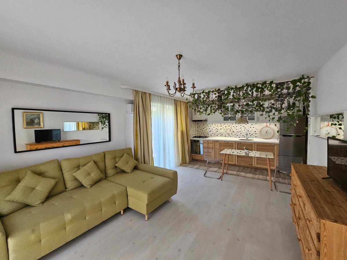 Manolaire Airport Residence Otopeni Εξωτερικό φωτογραφία