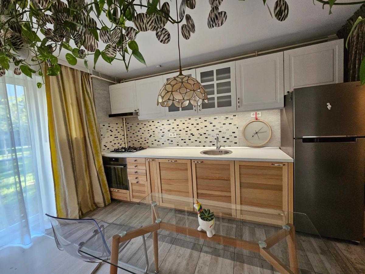 Manolaire Airport Residence Otopeni Εξωτερικό φωτογραφία